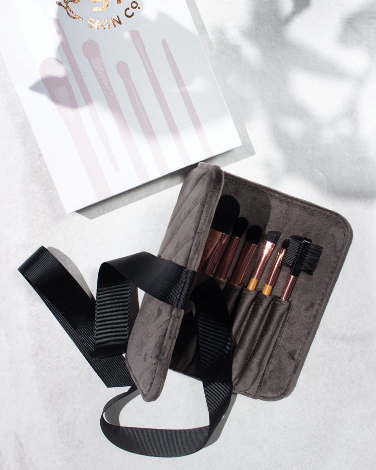 Jet Settin' Travel Brush Set
