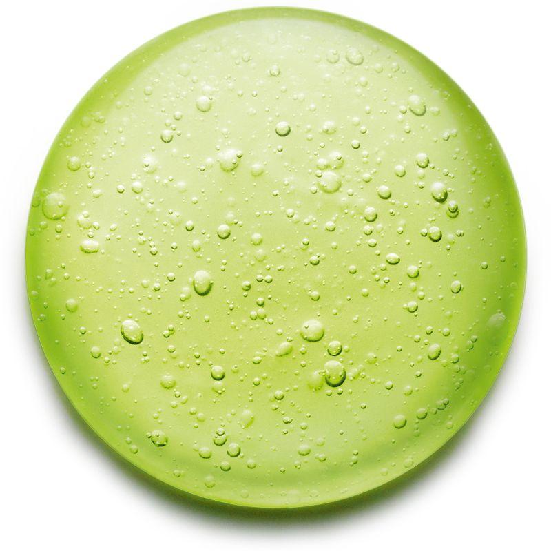 ALOE VERA GEL WITH MINT